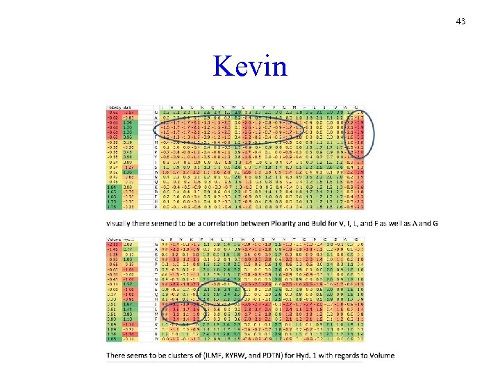 43 Kevin 