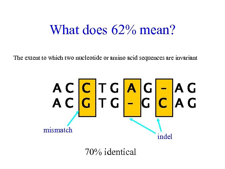 What does 62% mean? The extent to which two nucleotide or amino acid sequences