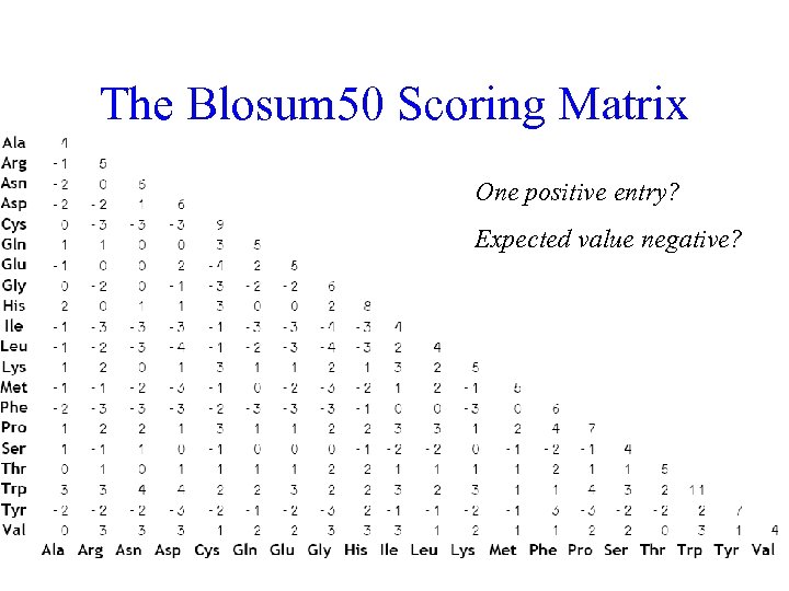 The Blosum 50 Scoring Matrix One positive entry? Expected value negative? 