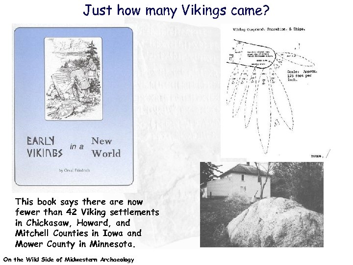 Just how many Vikings came? This book says there are now fewer than 42