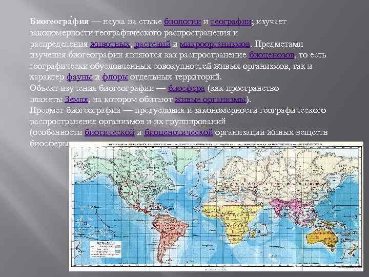 Биогеогра фия — наука на стыке биологии и географии; изучает закономерности географического распространения и
