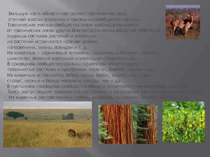 Большую часть области составляют тропические леса, степной массив (саванна) и природные сообщества пустыни. Тропические