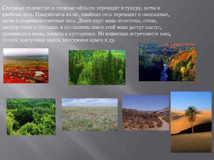Cеверные ледовитые и снежные области переходят в тундру, затем в хвойные леса. Продвигаясь на