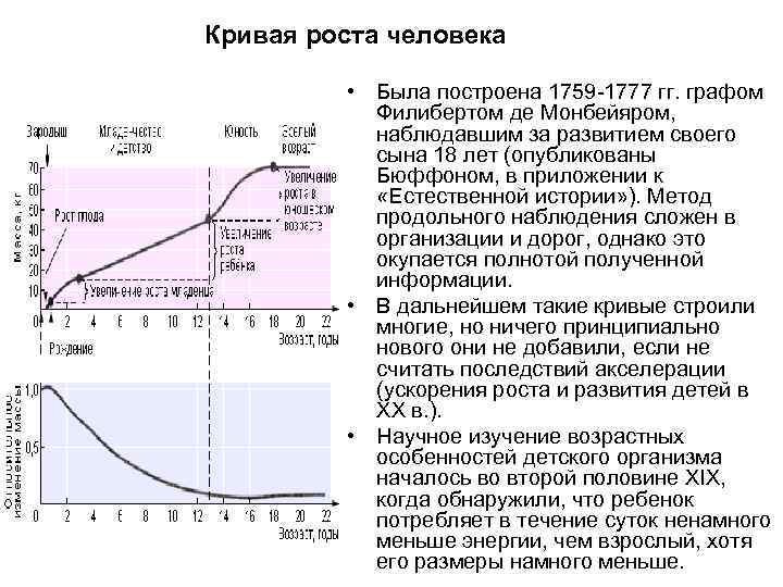 Кривая роста человека • Была построена 1759 -1777 гг. графом Филибертом де Монбейяром, наблюдавшим