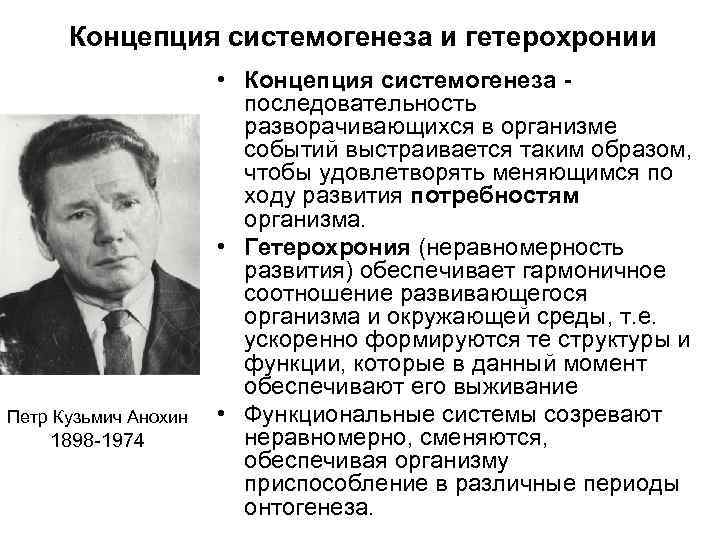 Концепция системогенеза и гетерохронии Петр Кузьмич Анохин 1898 -1974 • Концепция системогенеза последовательность разворачивающихся