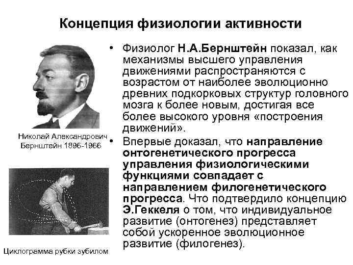 Концепция физиологии активности • Физиолог Н. А. Бернштейн показал, как механизмы высшего управления движениями