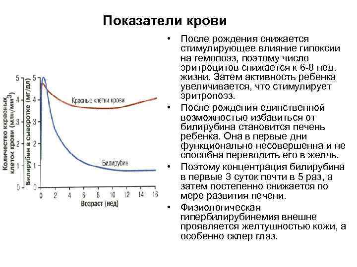 Показатели крови • После рождения снижается стимулирующее влияние гипоксии на гемопоэз, поэтому число эритроцитов