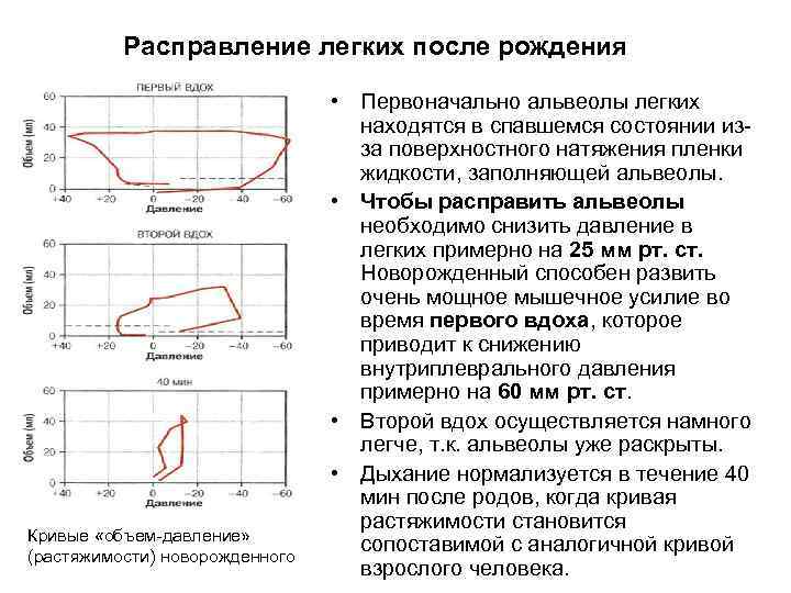 Расправление легких после рождения Кривые «объем-давление» (растяжимости) новорожденного • Первоначально альвеолы легких находятся в