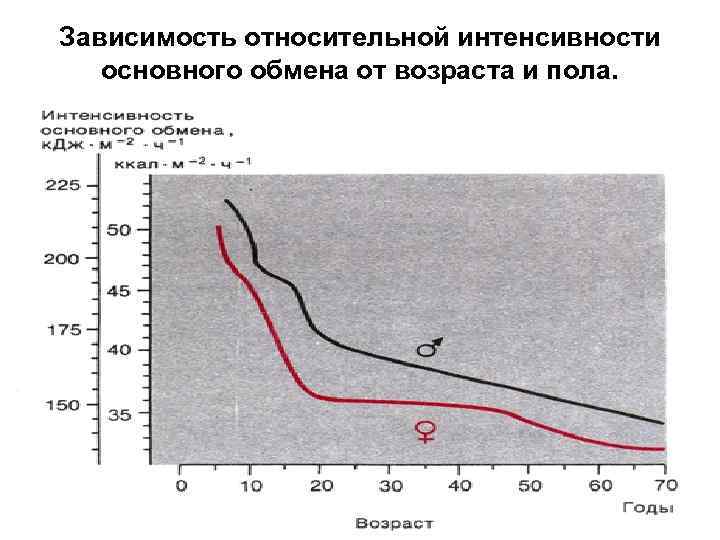Зависимость относительной интенсивности основного обмена от возраста и пола. 