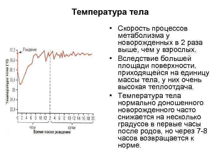 Температура тела • Скорость процессов метаболизма у новорожденных в 2 раза выше, чем у