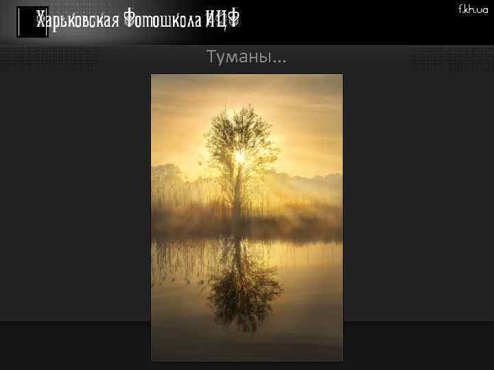 Туманы. . . 