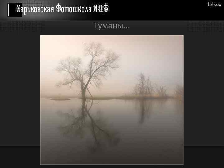 Туманы. . . 