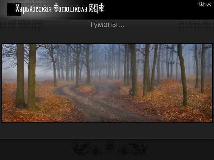 Туманы. . . 