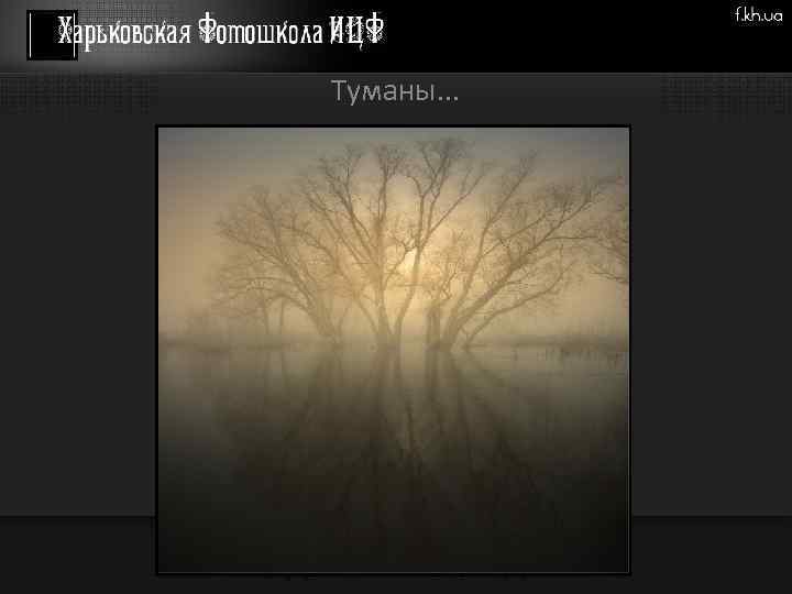 Туманы. . . 