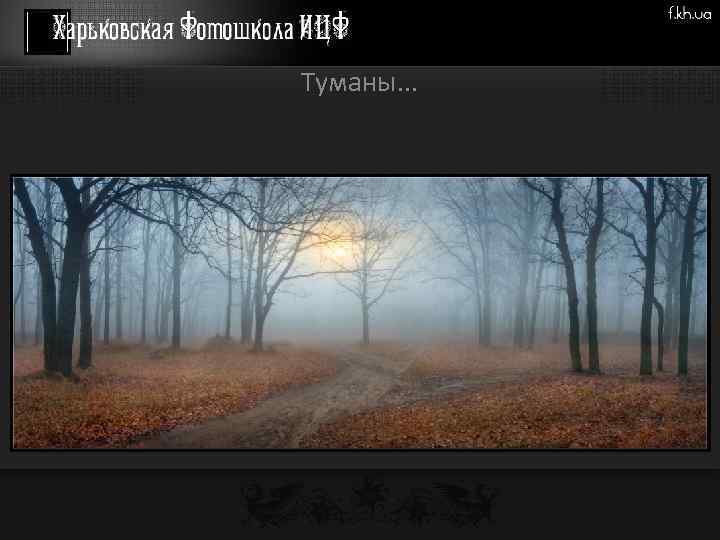 Туманы. . . 