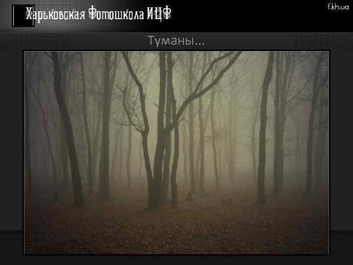 Туманы. . . 