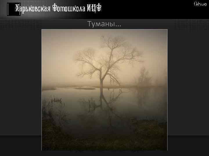 Туманы. . . 