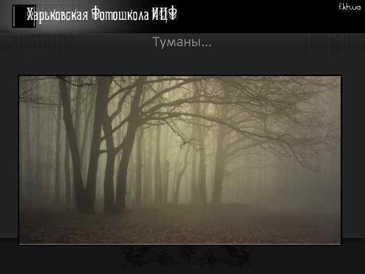 Туманы. . . 