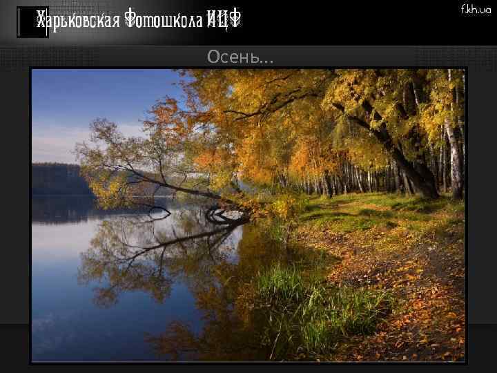 Осень. . . 