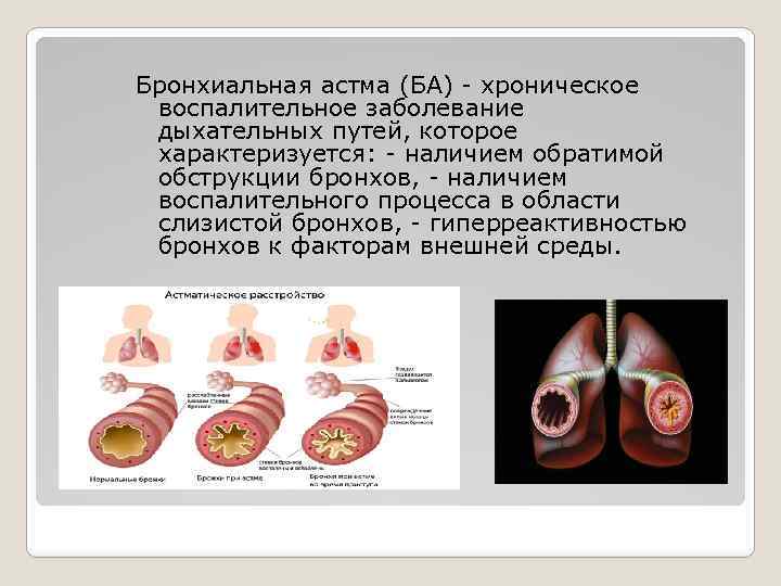 Слизистая бронхов