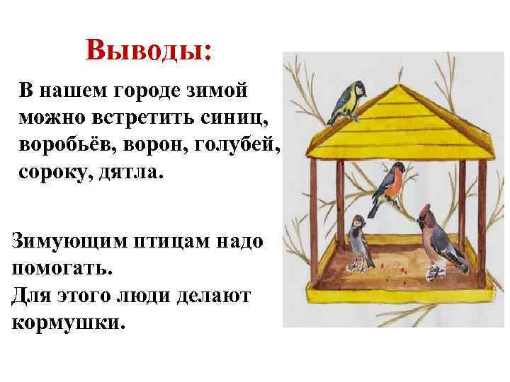 Выводы: В нашем городе зимой можно встретить синиц, воробьёв, ворон, голубей, сороку, дятла. Зимующим