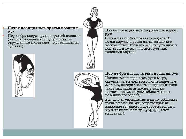  Пятая позиция ног, третья позиция рук Пор де бра вперед, руки в третьей