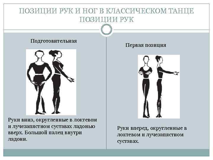 ПОЗИЦИИ РУК И НОГ В КЛАССИЧЕСКОМ ТАНЦЕ ПОЗИЦИИ РУК Подготовительная Руки вниз, округленные в