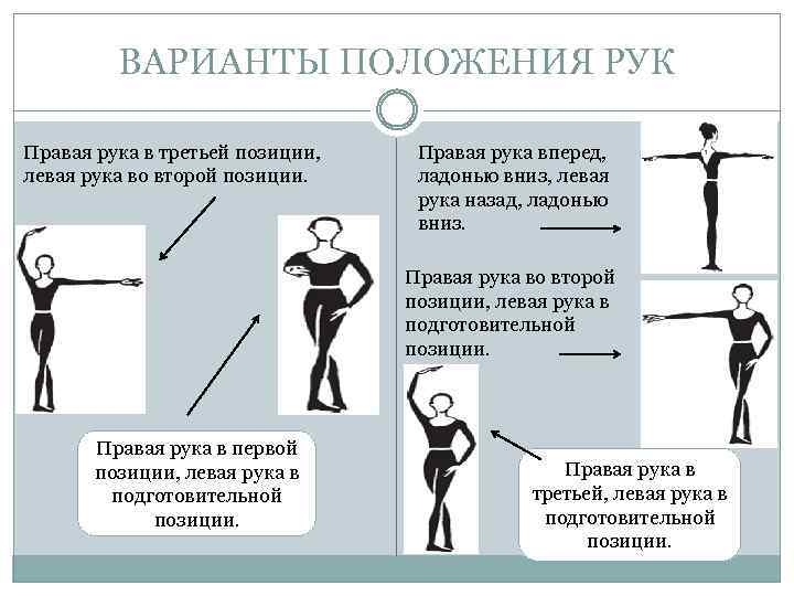 ВАРИАНТЫ ПОЛОЖЕНИЯ РУК Правая рука в третьей позиции, левая рука во второй позиции. Правая