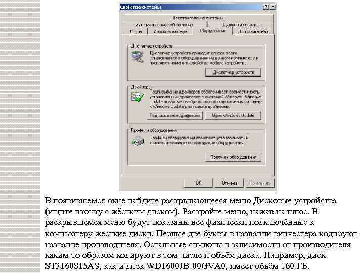 В появившемся окне найдите раскрывающееся меню Дисковые устройства (ищите иконку с жёстким диском). Раскройте