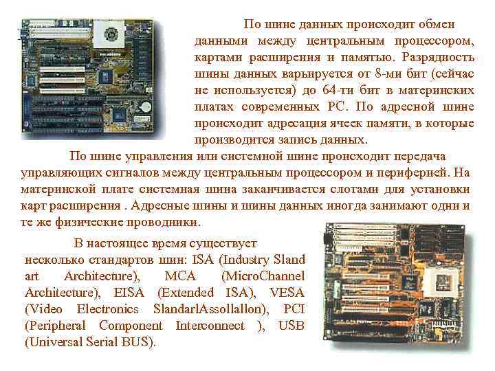 По шине данных происходит обмен данными между центральным процессором, картами расширения и памятью. Разрядность