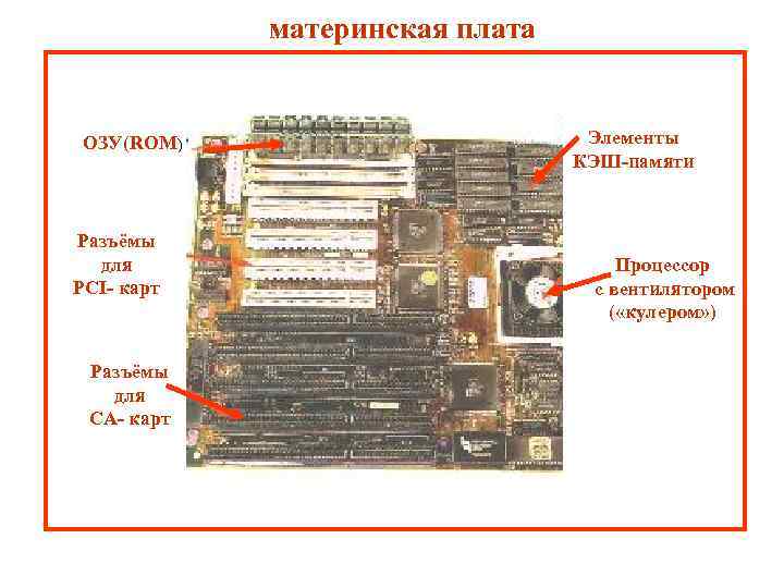 материнская плата ОЗУ(ROM) Разъёмы для PCI- карт Разъёмы для CА- карт Элементы КЭШ-памяти Процессор