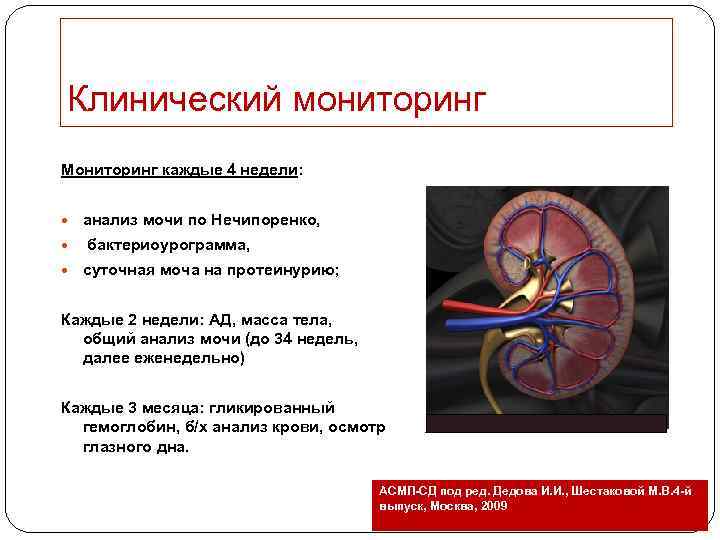 Клинический мониторинг Мониторинг каждые 4 недели: анализ мочи по Нечипоренко, бактериоурограмма, суточная моча на