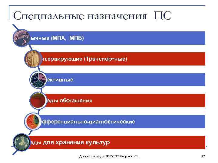 Специальные назначения ПС Обычные (МПА, МПБ) Консервирующие (Транспортные) Элективные Среды обогащения Дифференциально диагностические Среды