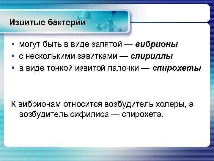 Извитые бактерии § могут быть в виде запятой — вибрионы § с несколькими завитками