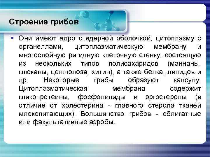 Строение грибов § Они имеют ядро с ядерной оболочкой, цитоплазму с органеллами, цитоплазматическую мембрану