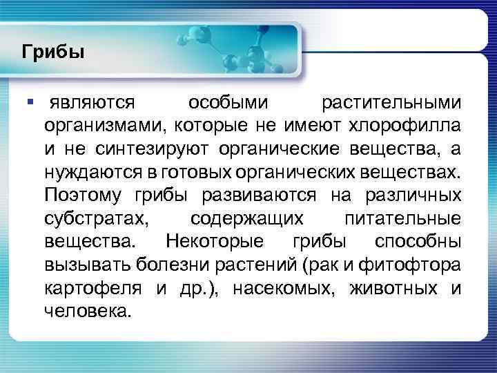 Грибы § являются особыми растительными организмами, которые не имеют хлорофилла и не синтезируют органические