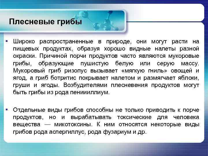 Плесневые грибы § Широко распространенные в природе, они могут расти на пищевых продуктах, образуя