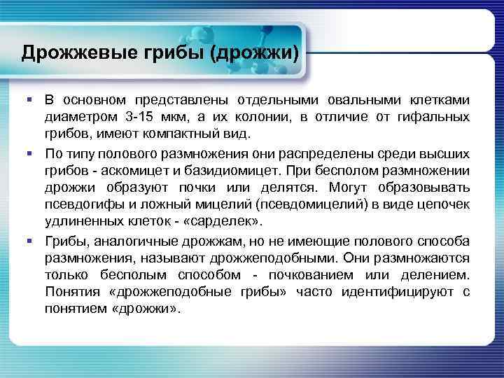 Дрожжевые грибы (дрожжи) § В основном представлены отдельными овальными клетками диаметром 3 -15 мкм,