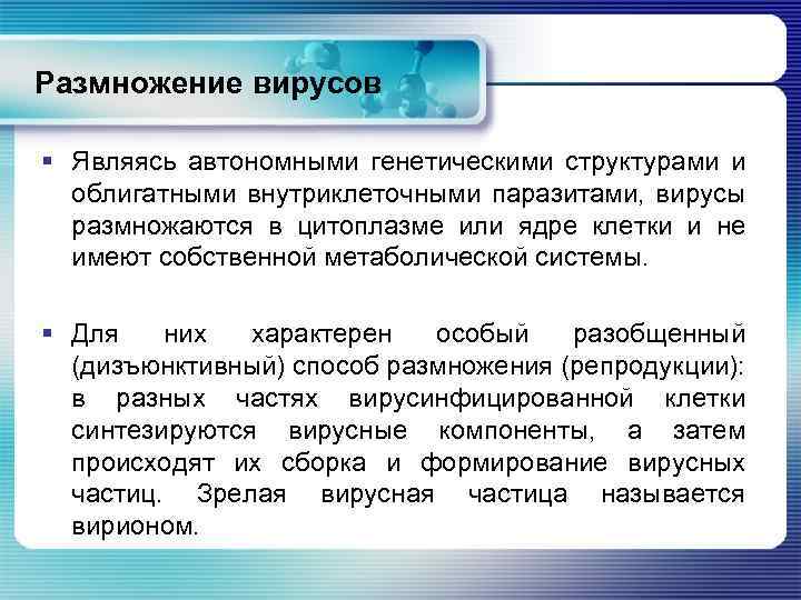 Вирусы размножаются