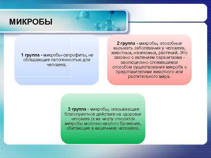 МИКРОБЫ 1 группа - микробы-сапрофиты, не обладающие патогенностью для человека. 2 группа - микробы,