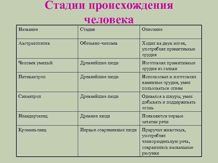 Прочитайте текст какие особенности предков человека