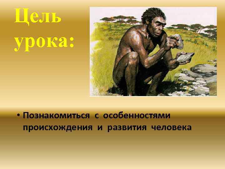 Цель урока: • Познакомиться с особенностями происхождения и развития человека 