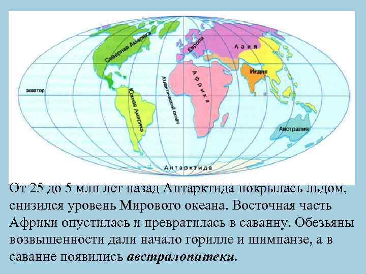 От 25 до 5 млн лет назад Антарктида покрылась льдом, снизился уровень Мирового океана.