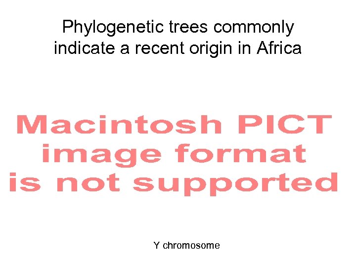Phylogenetic trees commonly indicate a recent origin in Africa Y chromosome 