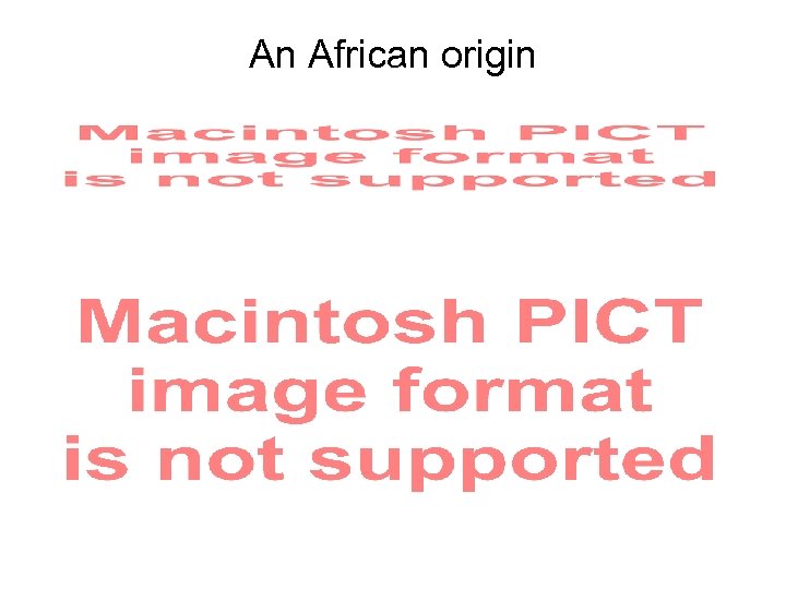 An African origin 