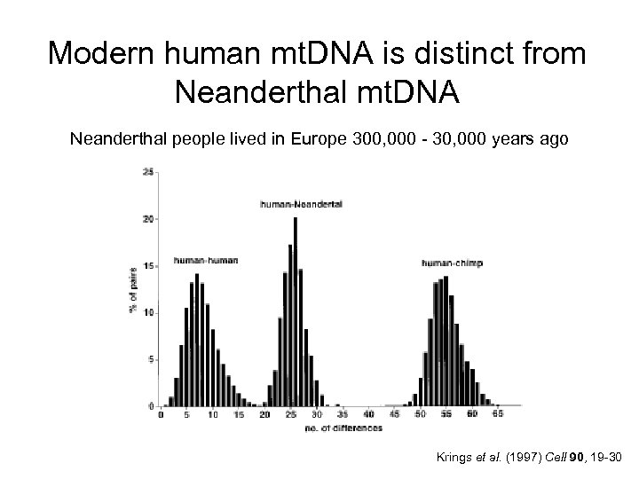 Modern human mt. DNA is distinct from Neanderthal mt. DNA Neanderthal people lived in