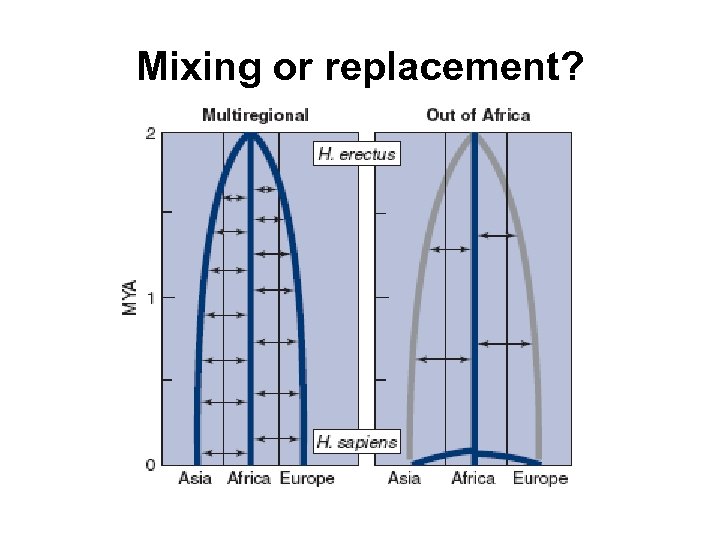 Mixing or replacement? 