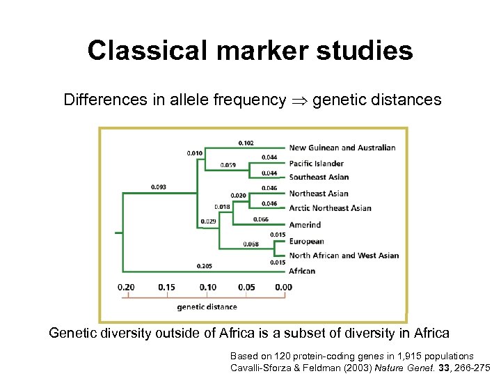 Classical marker studies Differences in allele frequency genetic distances Genetic diversity outside of Africa