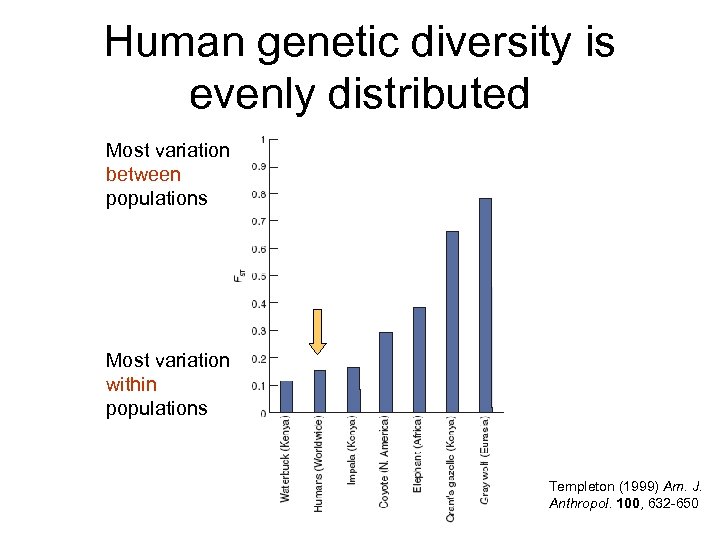 Human genetic diversity is evenly distributed Most variation between populations Most variation within populations
