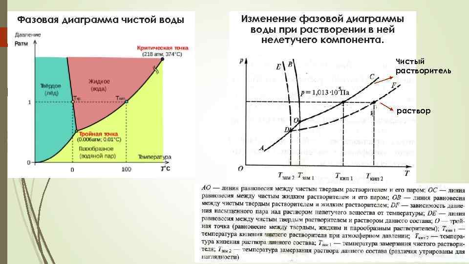 Чем замечательна тройная точка на диаграмме равновесных состояний и фазовых переходов